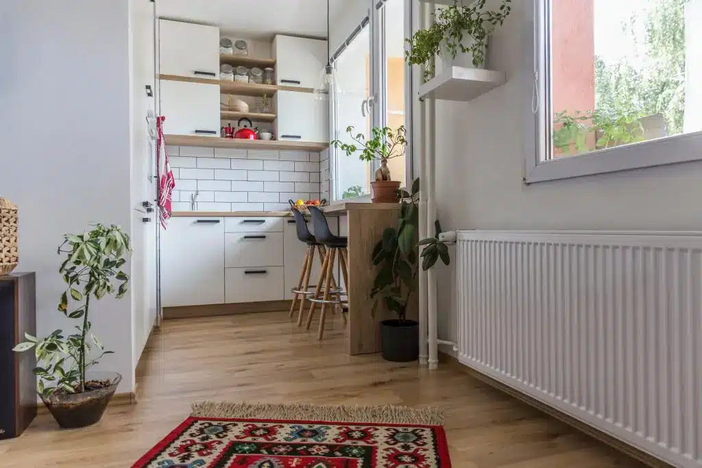 Kitchen and Radiator